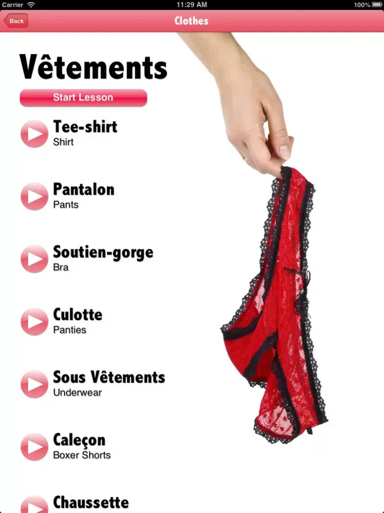 Screenshot di Sexy French - Phrasebook and Quiz iPad 