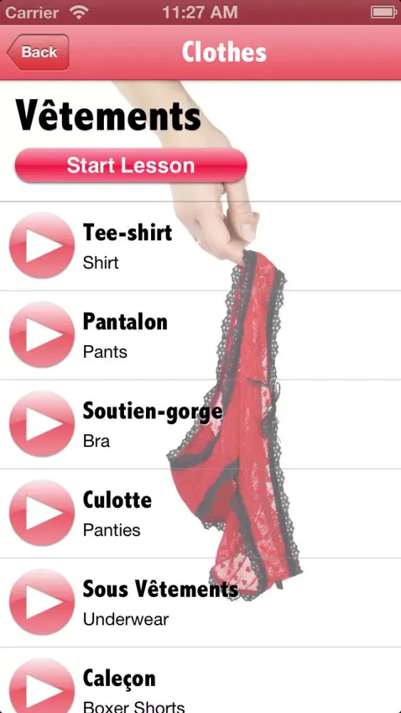 Screenshot di Sexy French - Phrasebook and Quiz