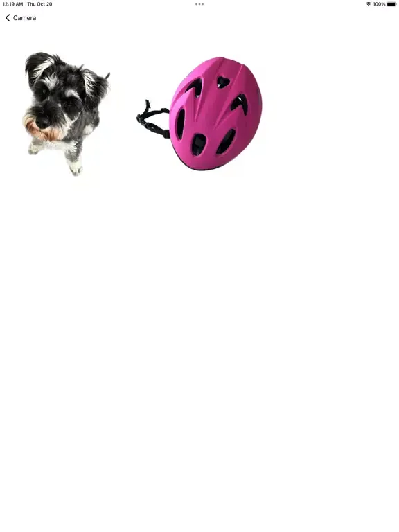Скриншоты BG Removal Camera iPad 