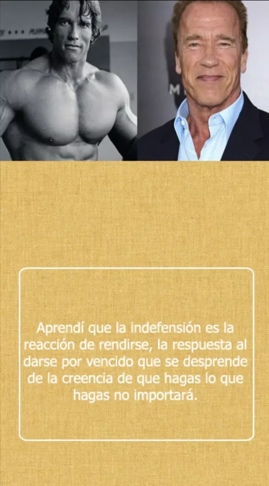 Arnold Schwarzenegger mejores應用截圖