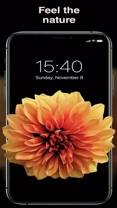 تصاویر ManyScreen-Wallpapers 4K