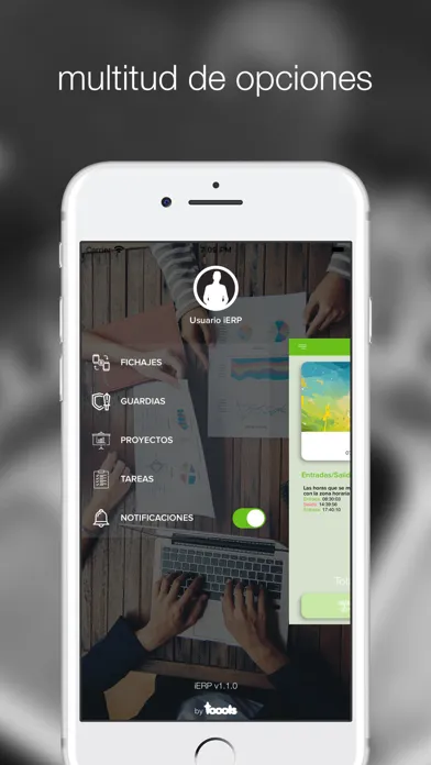 Скриншоты iERP