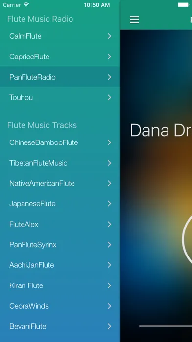 ภาพหน้าจอของ Flute Music & Songs Free