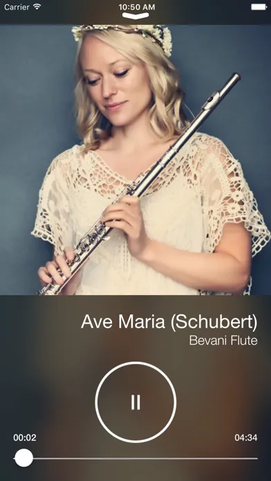 ภาพหน้าจอของ Flute Music & Songs Free