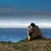 Irish Celtic Music & Scottish Folk Songs Free