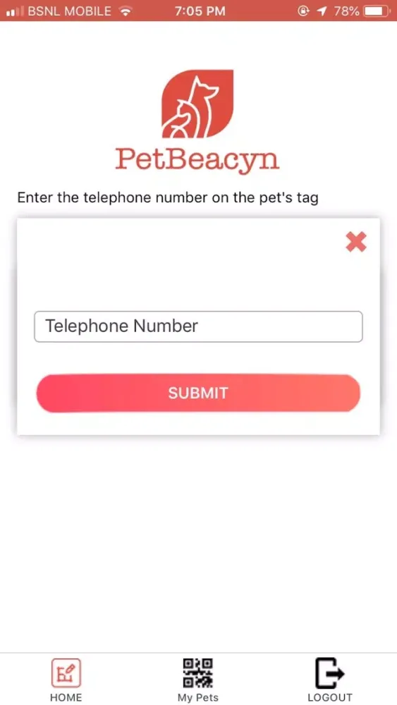 Captures d'écran de PET BEACYN