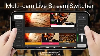 Screenshot di TopDirector