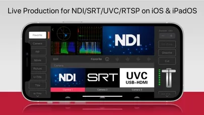 Screenshot di TopDirector