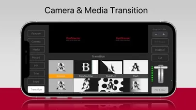 Screenshot di TopDirector