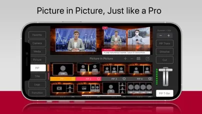 Screenshot di TopDirector