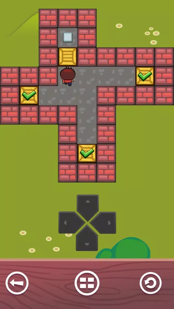 Boxes Push! স্ক্রিনশট