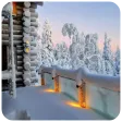 Snow wallpapers-winter