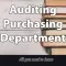 Auditing Procurement Process