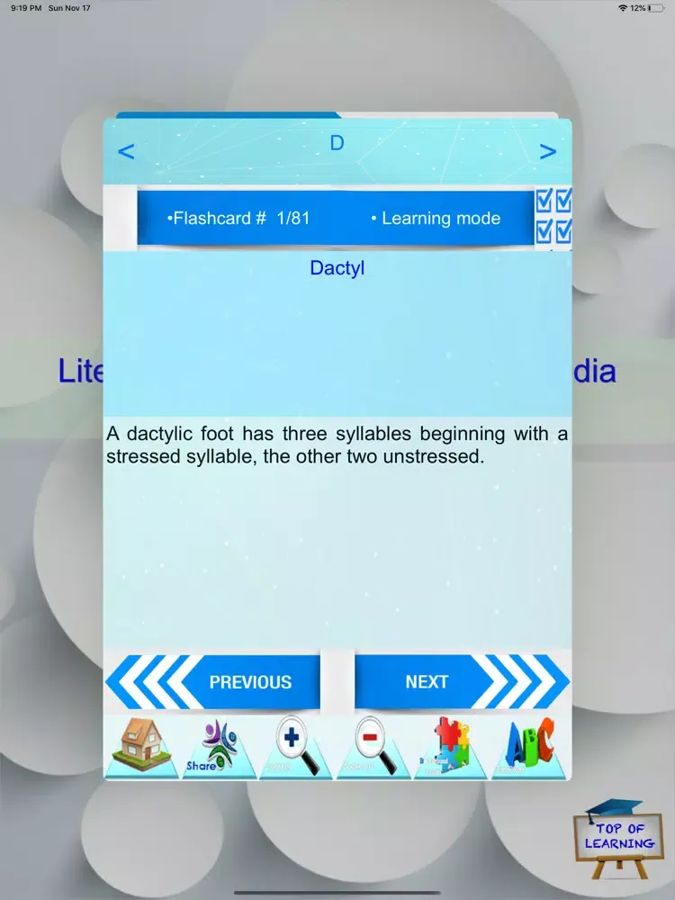 Literary Terms & Essays Quiz iPad  Ekran Görüntüleri