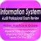 Information System Audit Pro