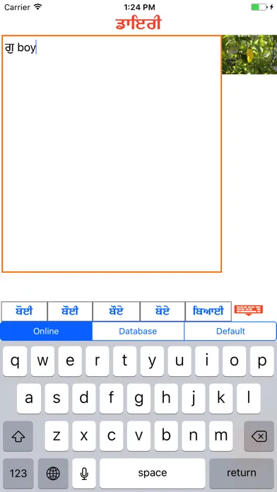 Punjabi Diary স্ক্রিনশট