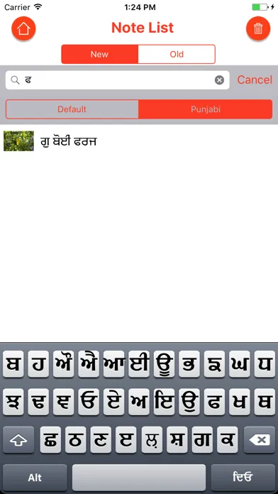 Punjabi Diary স্ক্রিনশট
