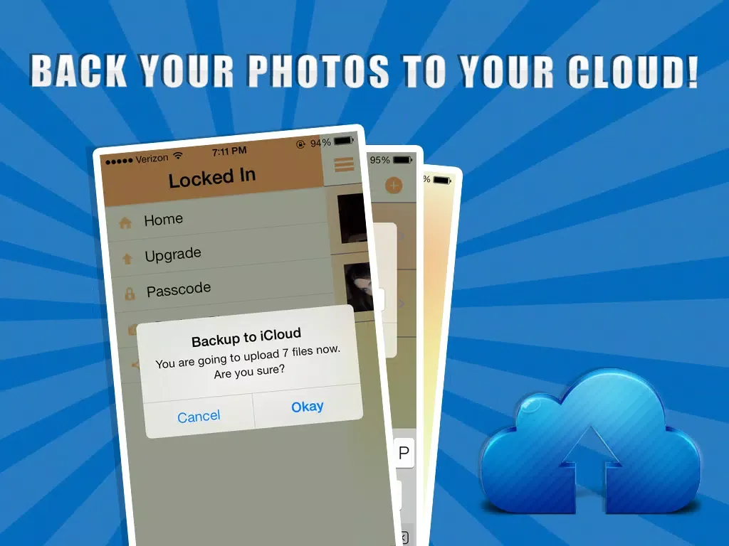 Скриншоты Pic Protect - Hide and Edit Your Photos and Videos iPad 