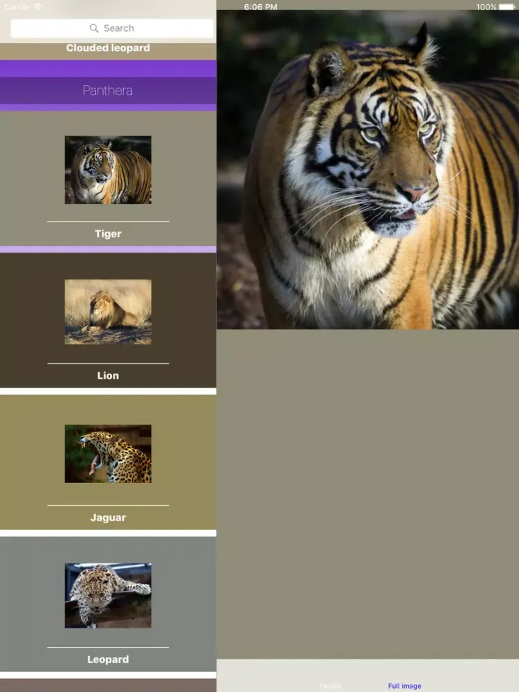 Capturas de tela do Big Cats Roar iPad 