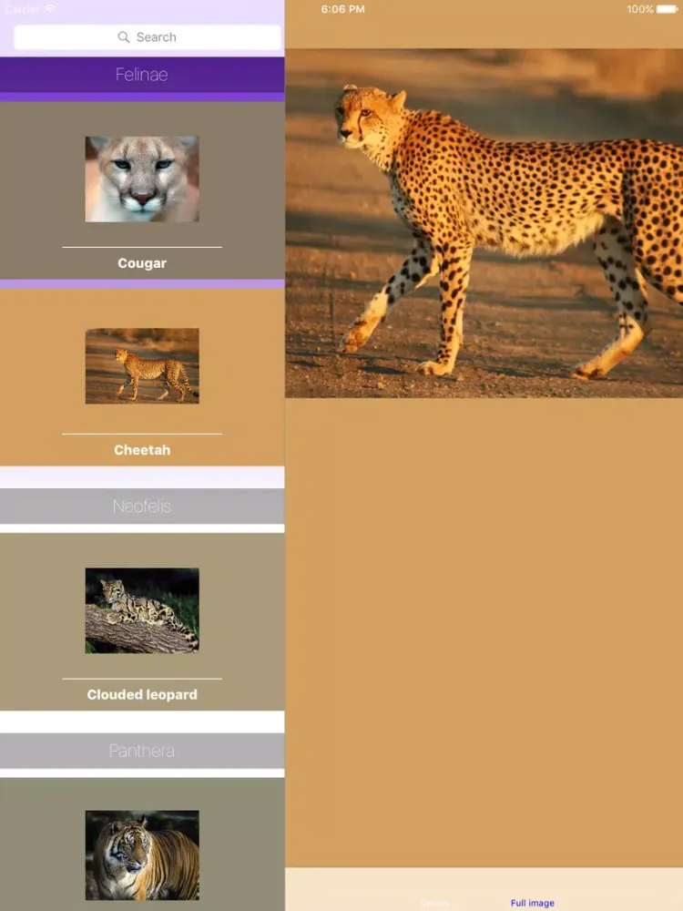 Capturas de tela do Big Cats Roar iPad 