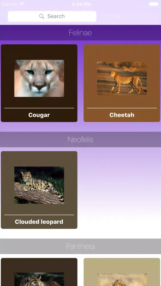 Capturas de tela do Big Cats Roar