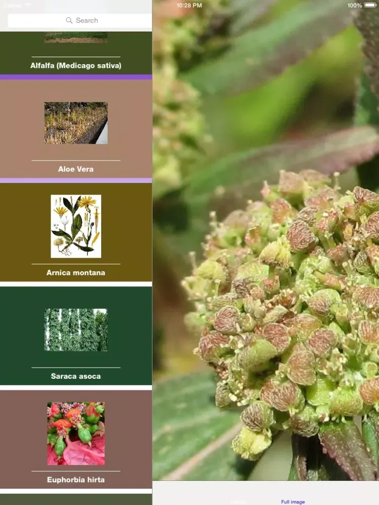 Capturas de tela do Herbs as Medicine iPad 