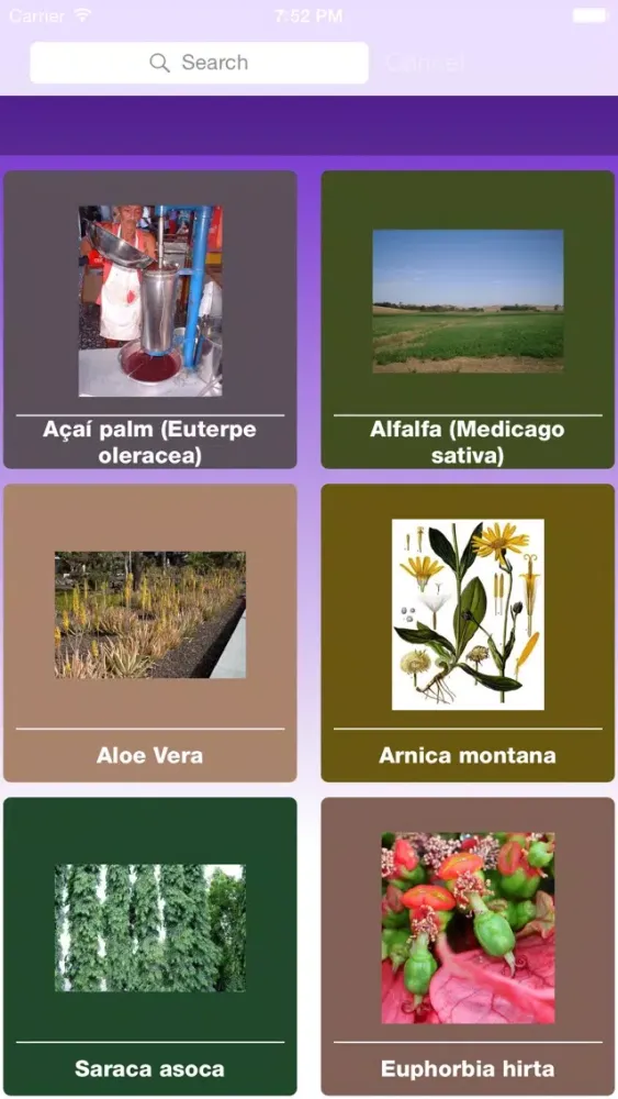 Capturas de tela do Herbs as Medicine