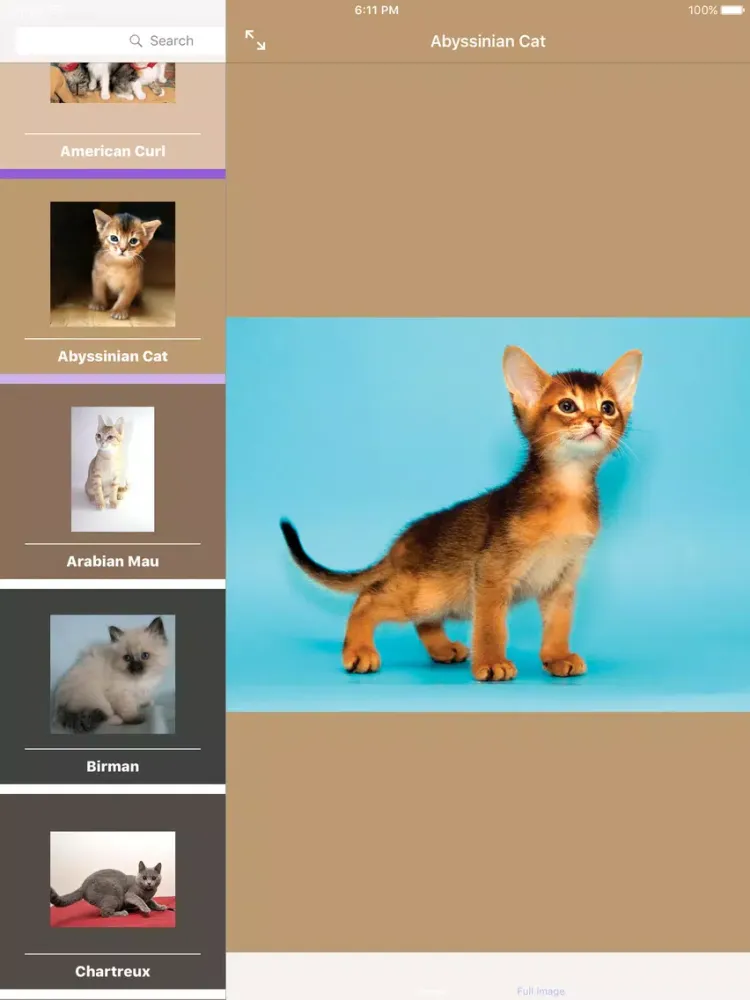 Ảnh chụp màn hình của Encyclopaedia of Kittens by Breed - with Cute Pics iPad 