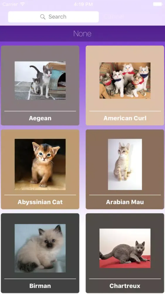 Ảnh chụp màn hình của Encyclopaedia of Kittens by Breed - with Cute Pics
