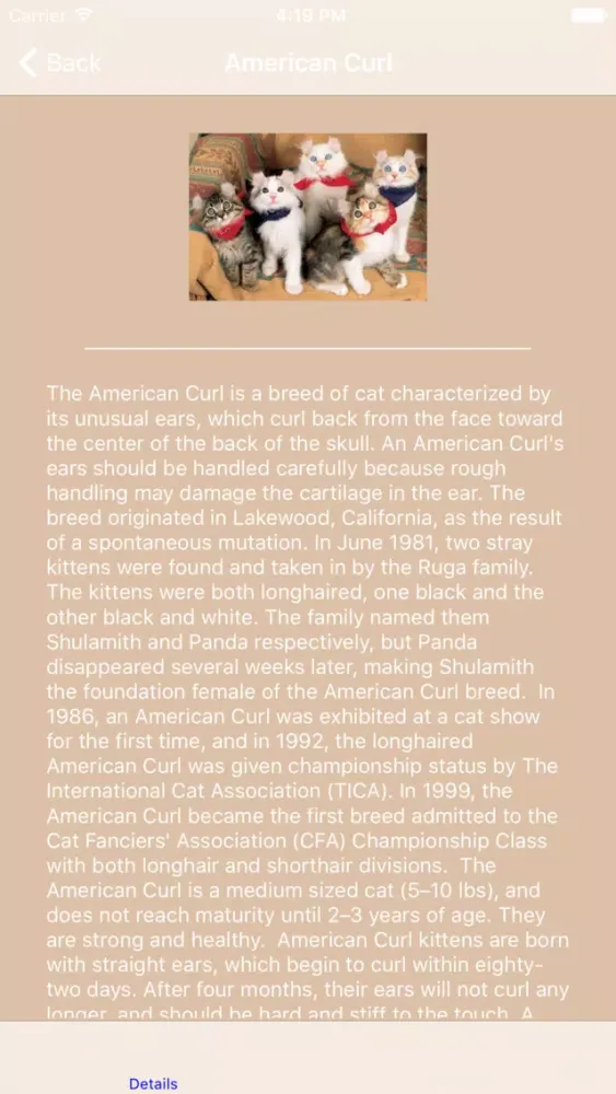 Ảnh chụp màn hình của Encyclopaedia of Kittens by Breed - with Cute Pics