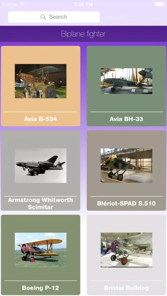 WW2 Fighters Ekran Görüntüleri