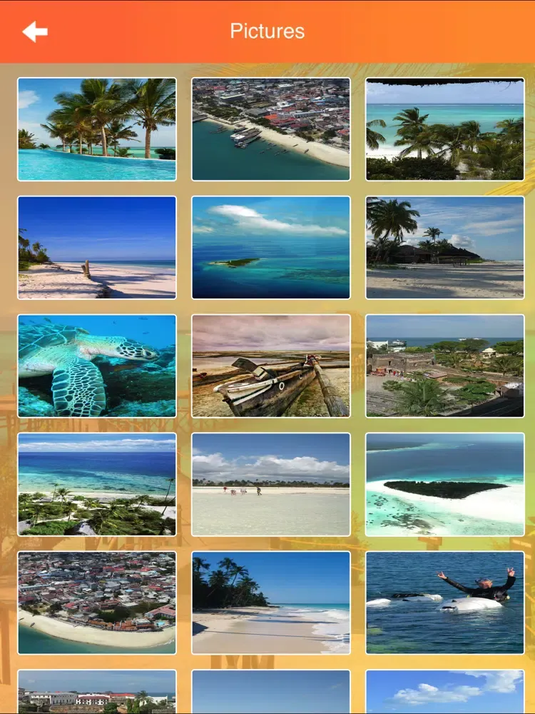 Zanzibar Islands Tourism iPad  স্ক্রিনশট