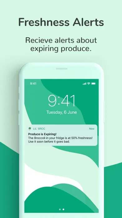 Lil’ Broc – Keep Produce Fresh Screenshots