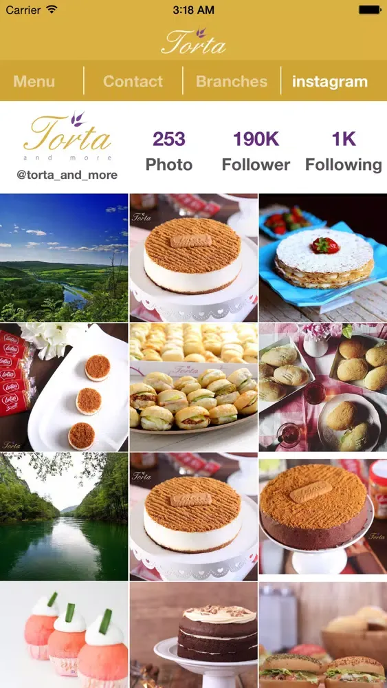 Ảnh chụp màn hình của Torta&More
