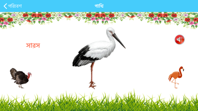 صور Bangla Alphabet