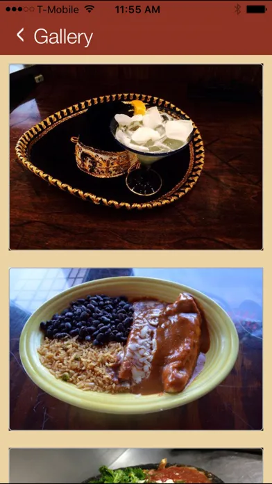 Fiesta Mexico Bar & Grill স্ক্রিনশট