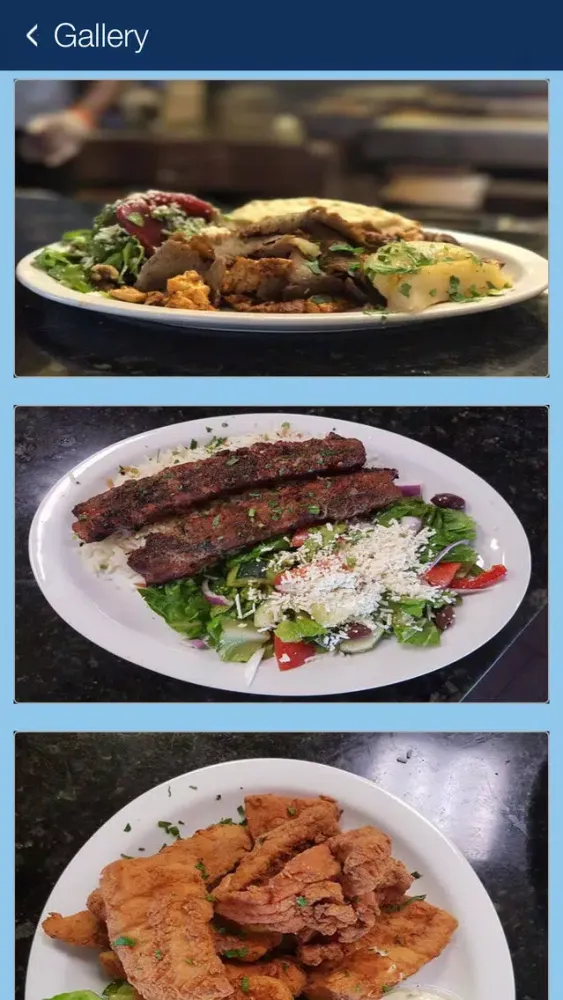 Greek Island Grill - GA應用截圖