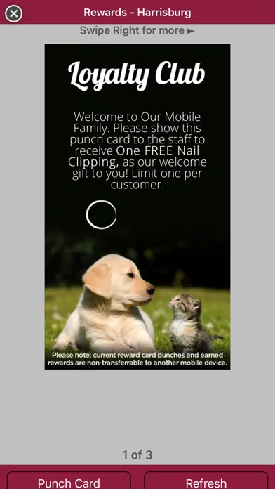 تصاویر Pet Authority Grooming Center