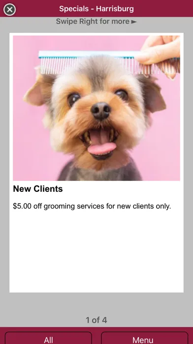تصاویر Pet Authority Grooming Center