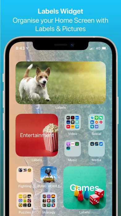 Capturas de pantalla de Labels Widget