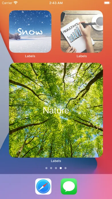 Capturas de pantalla de Labels Widget