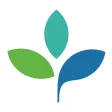 Totara Totara
