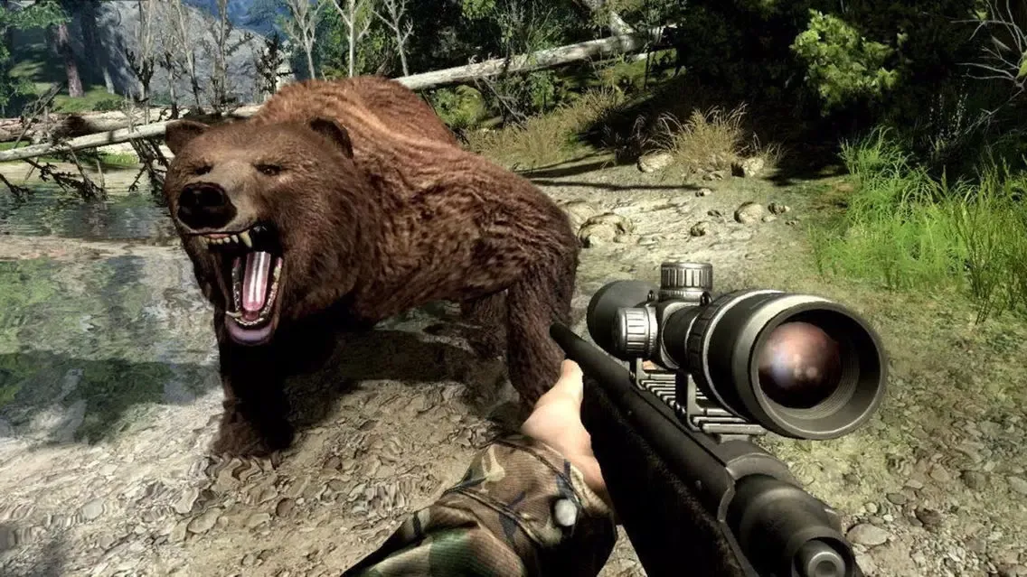 صور Bear Hunter : The sniper or shotgun elite of 2017