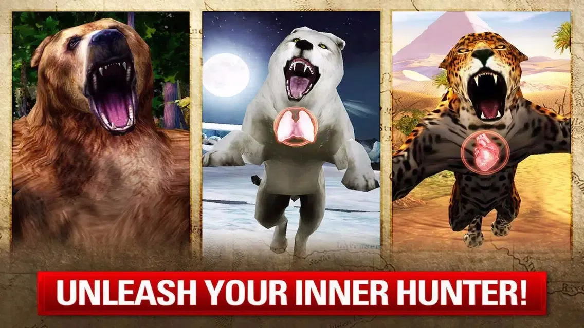 صور Bear Hunter : The sniper or shotgun elite of 2017