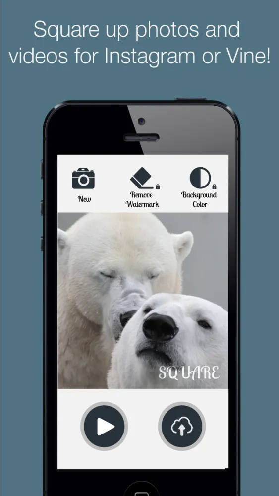 Square Shape - Crop Photo & Video to Size and Share for Instagram Screenshots