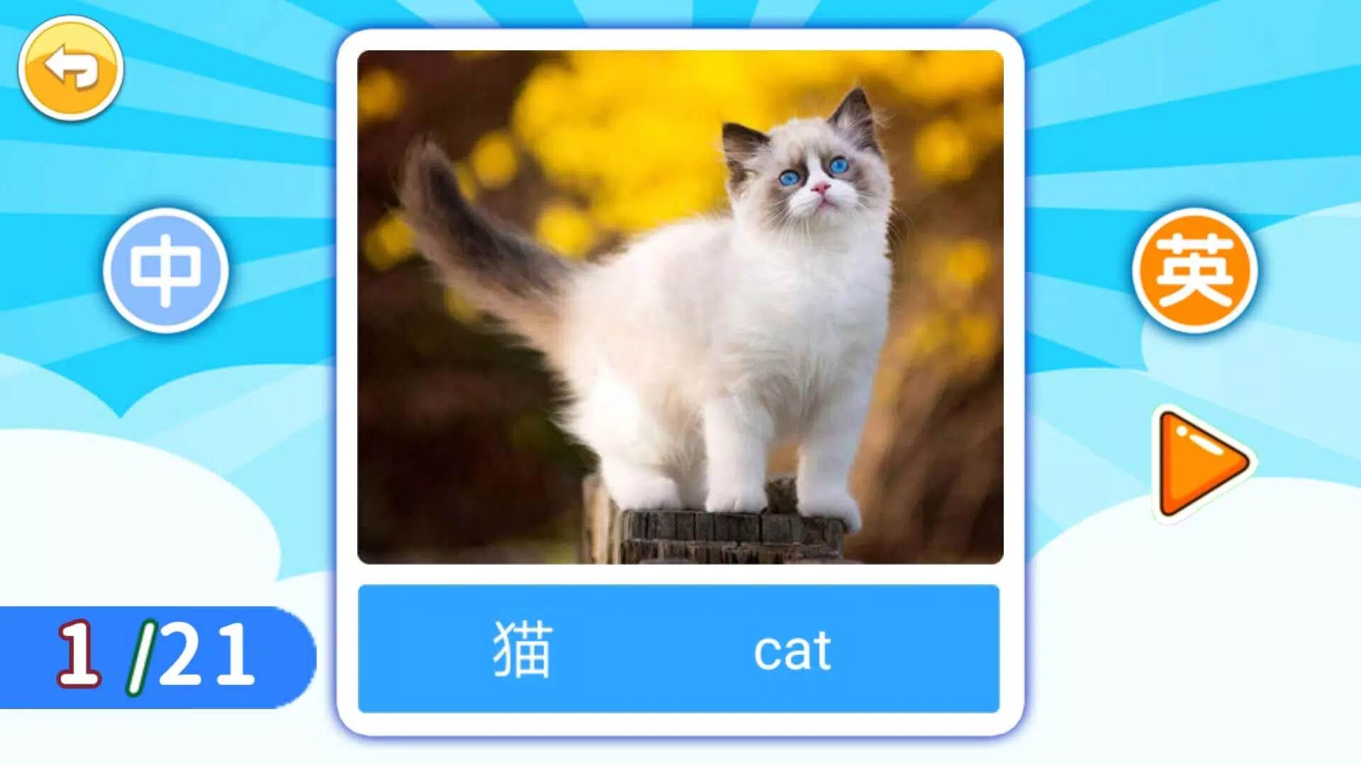 宝宝英语启蒙 Screenshots4