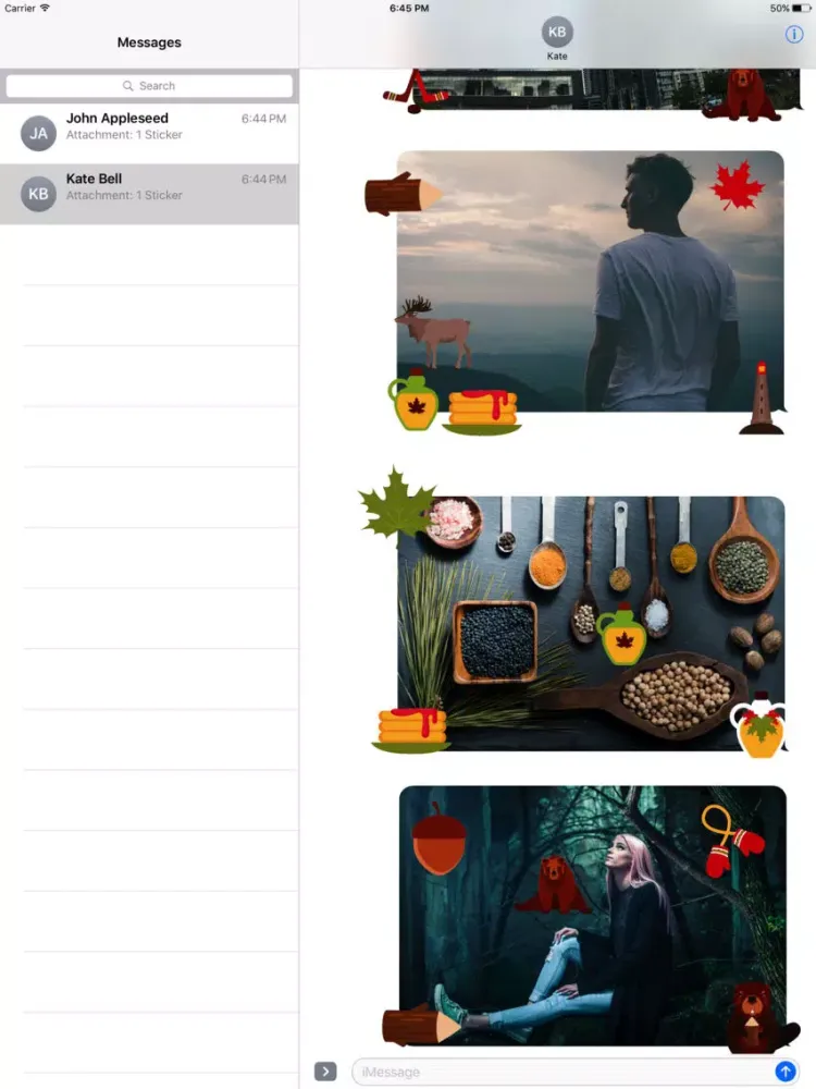 Скриншоты Animated I Love Canada Stickers iPad 