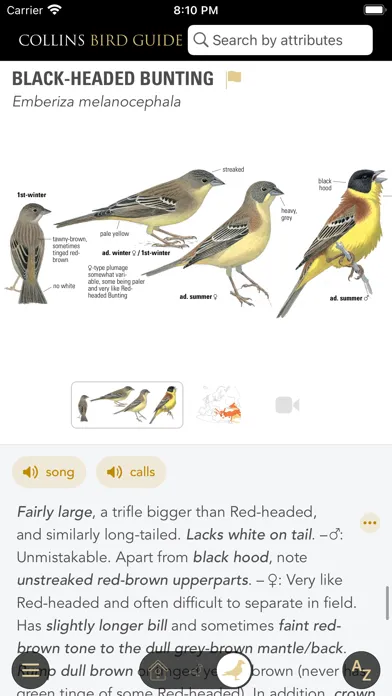 Capturas de tela do Collins Bird Guide