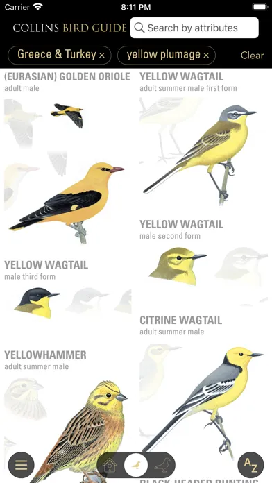 Capturas de tela do Collins Bird Guide