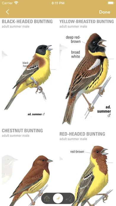Capturas de tela do Collins Bird Guide